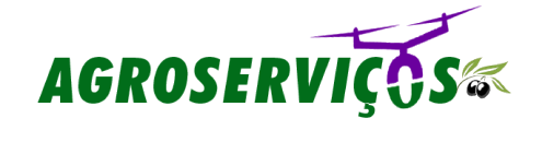 logo pequeno agroservicos
